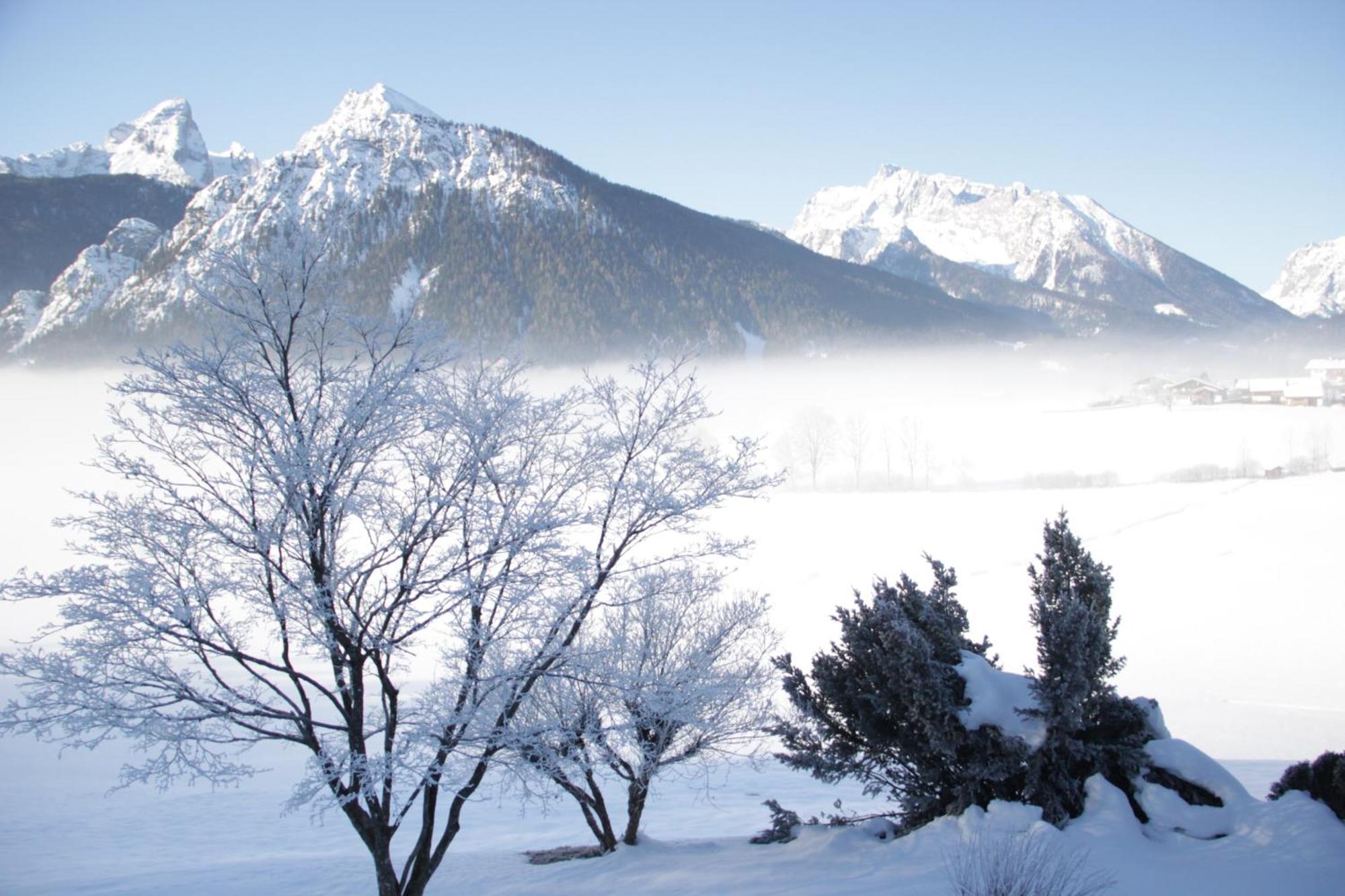 Obergoebllehen Lägenhet Schönau am Königssee Exteriör bild