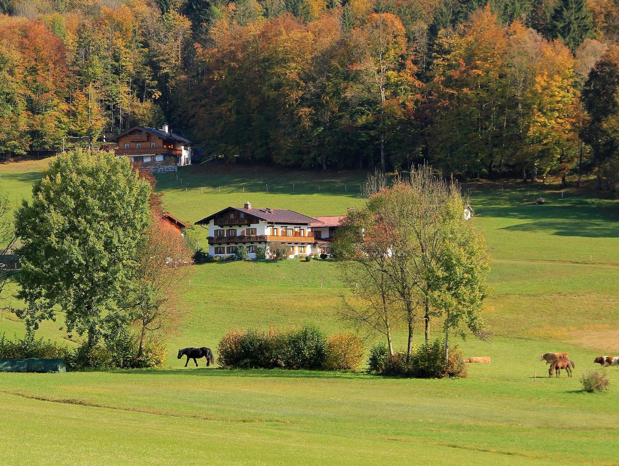 Obergoebllehen Lägenhet Schönau am Königssee Exteriör bild